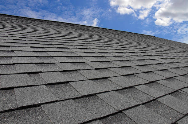 Best Roof Insulation Installation  in Shorewood, IL